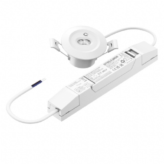 Emergency mini downlight