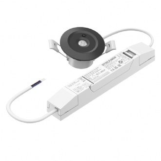 Emergency mini downlight