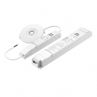 Emergency separated downlight